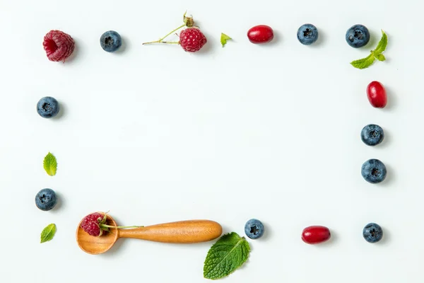 Reife Beeren isoliert auf weiß — Stockfoto