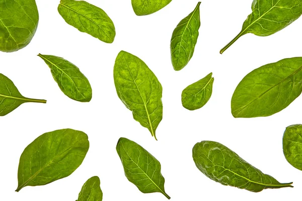 Patrón Vegetal Hojas Espinacas Orgánicas Naturales Frescas Sobre Fondo Blanco — Foto de Stock