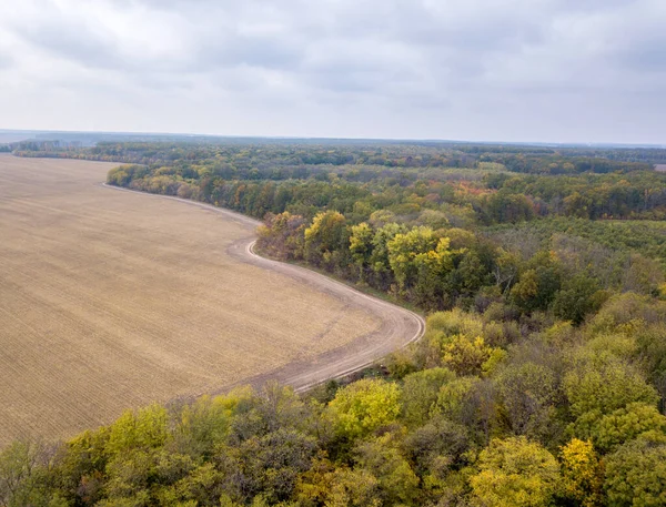 Vue Aérienne Depuis Drone Dessus Des Zones Agricoles Après Récolte — Photo