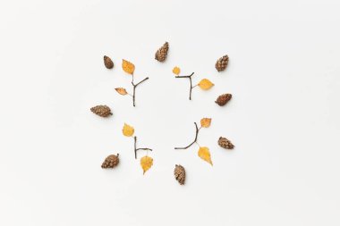 Koni, dal ve sarı yapraklı sonbahar kompozisyonu beyaz, düz yatak üzerinde izole