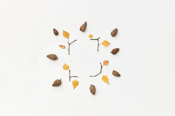 Kompozycja Jesienna Szyszkami Gałązkami Żółtymi Liśćmi Izolowanymi Białym Płaskowyżu — Zdjęcie stockowe
