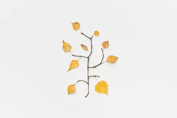 Composition Automnale Avec Brindilles Feuilles Jaunes Forme Branche Isolées Sur — Photo