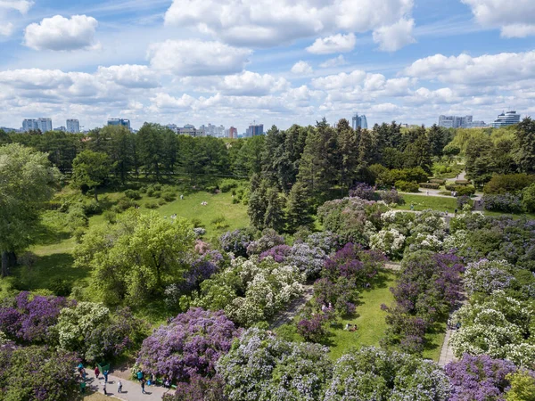 夏天人们在美丽的绿色植物园 地平线上的城市建筑中漫步的空中景象 — 图库照片