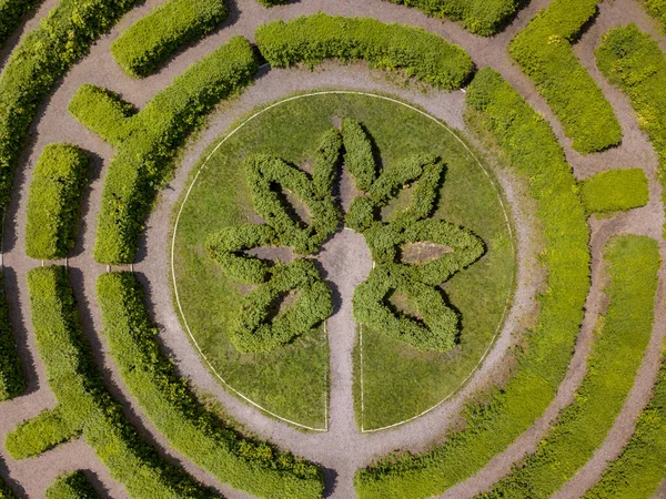 夏季城市植物园中 美丽的绿色自然花卉迷宫与灌木丛的俯瞰 — 图库照片