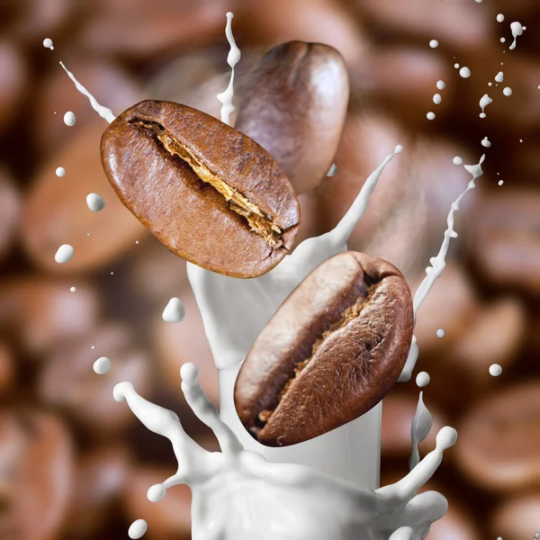 Falling roasted coffee beans with steam and milk — Stock Photo, Image
