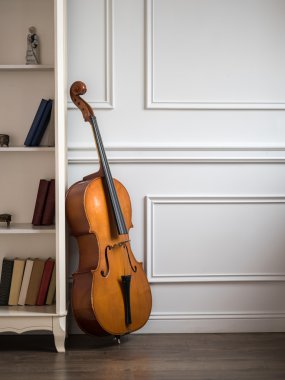 Çello bookshelf ile klasik iç