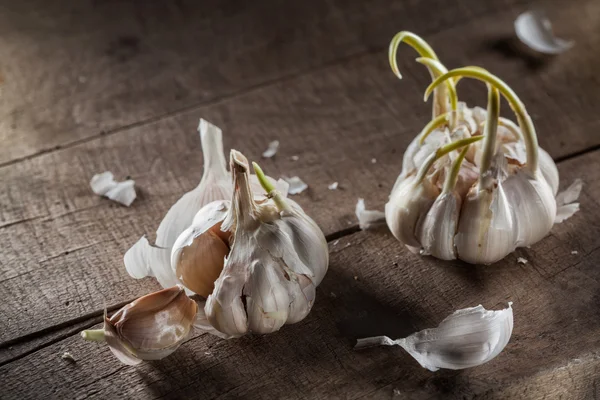 Organic garlic on wood — Stock Photo, Image