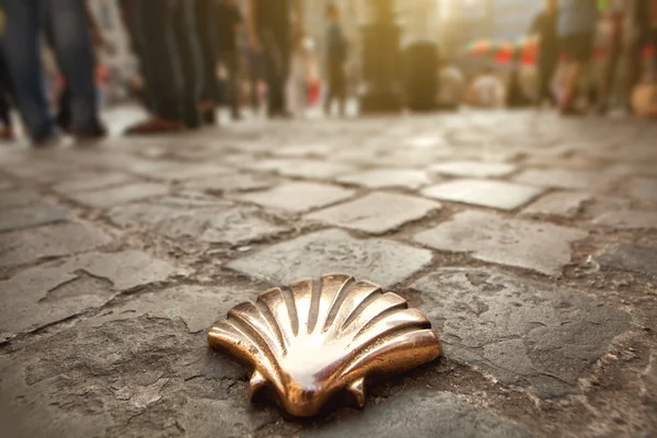 Santiago shell, St James shell in Brussel — Stockfoto