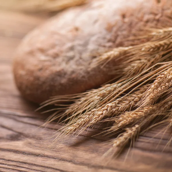 Trigo e pão em mesa de madeira, raso DOF — Fotografia de Stock