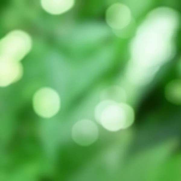 Grüner Hintergrund mit natürlichem Bokeh — Stockfoto