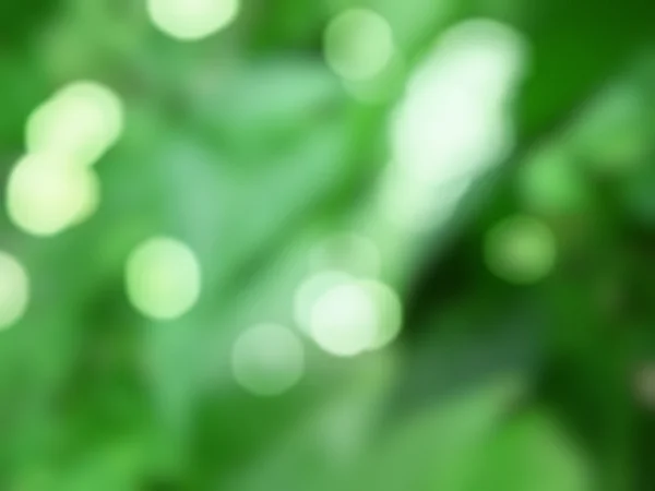 Fundo verde abstrato com bokeh — Fotografia de Stock