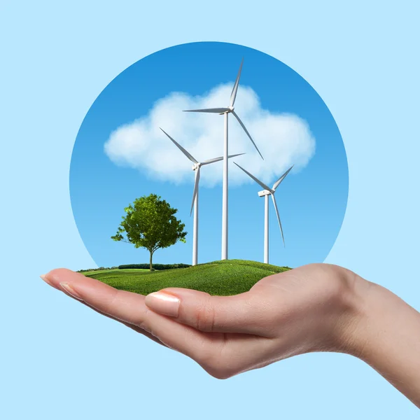 Turbine eoliche con albero in mano femminile — Foto Stock