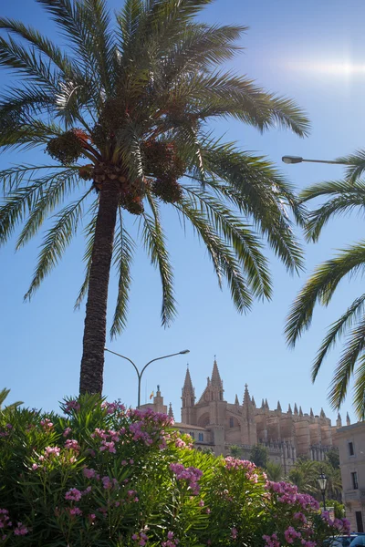 La Catedral de Santa Maria en Palma de Mallorca —  Fotos de Stock