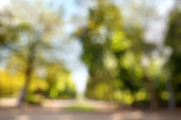 Verano ciudad parque borrosa fondo — Foto de Stock