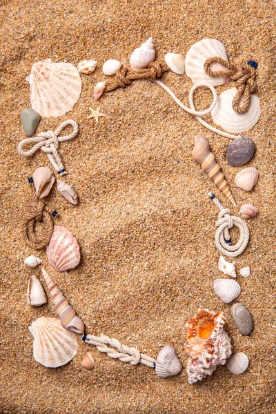 Frame from various shells on sand — Stock Photo, Image