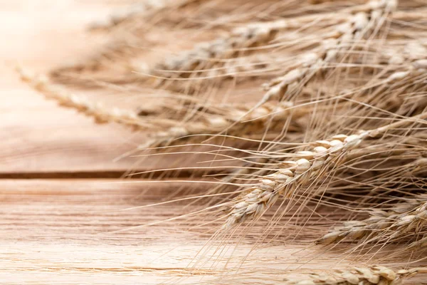 Пшеница на дереве — стоковое фото