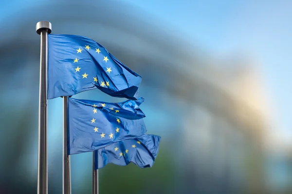 Drapeaux de l'Union européenne contre le Parlement européen — Photo