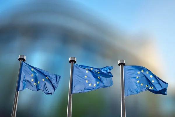 Banderas de la Unión Europea contra el Parlamento Europeo —  Fotos de Stock