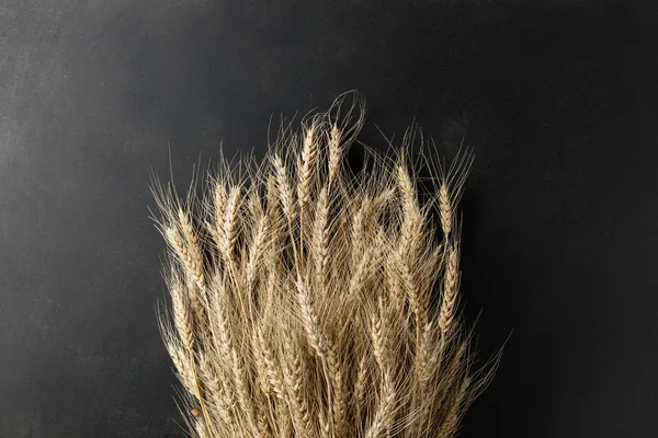 小麦在黑色背景上 — 图库照片