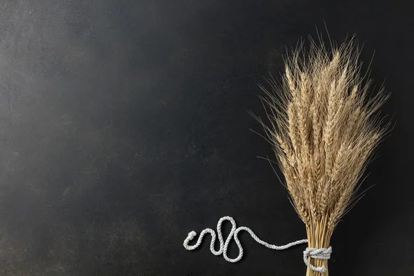 Wheat on black background — Stok fotoğraf