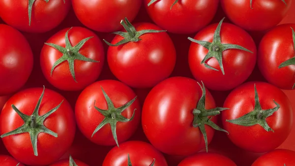 Rote Tomaten im Hintergrund. Ansicht von oben — Stockfoto