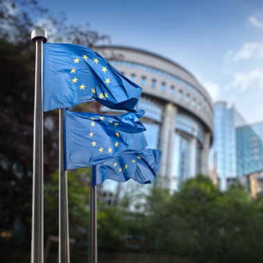 Berlaymont önünde Avrupa Birliği bayrakları