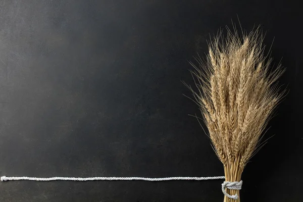 Wheat on black background — Stock Photo, Image
