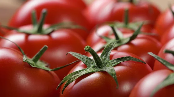 붉은 토마토 배경 — 스톡 사진