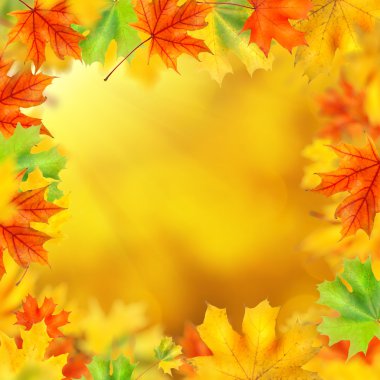 artalanları sonbahar yaprakları ile