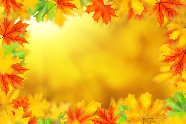 Arrière-plan avec feuilles d'automne — Photo