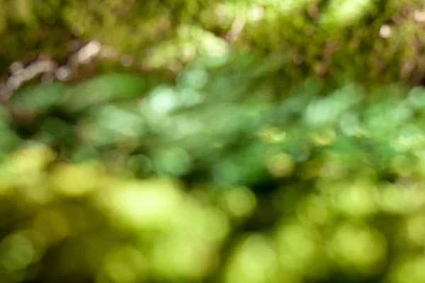 Goccia su erba e sfondo verde — Foto Stock