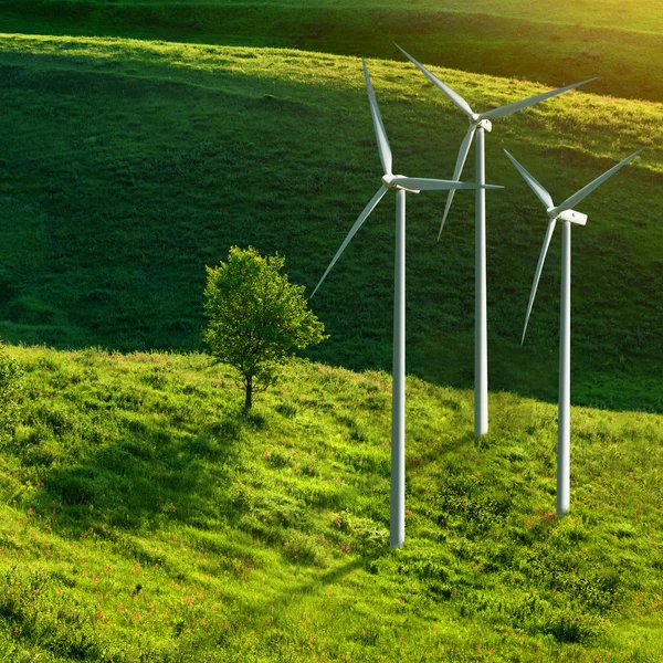 Vindkraftverk på grön äng — Stockfoto