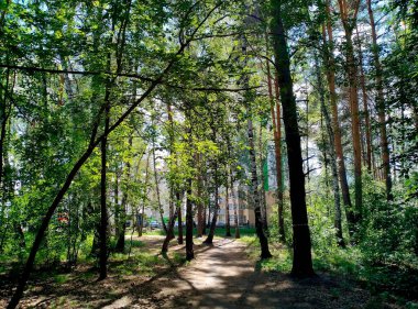 Modern environmentally friendly area in Tyumen, Russia
