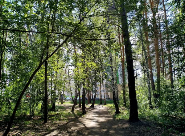 Сучасна Екологічно Чиста Місцевість Місті Юмен Росія — стокове фото