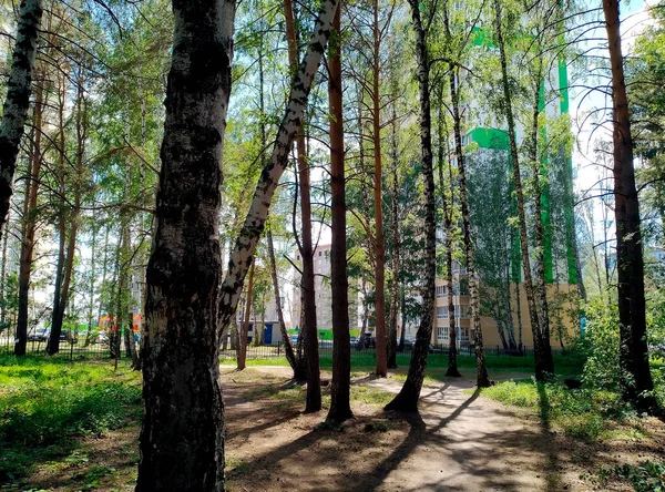 Modern environmentally friendly area in Tyumen, Russia