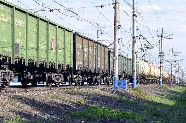 Черногория 2006 Апреля 2017 Двигатель Серого Цвета Движется Железнодорожным Путям — стоковое фото