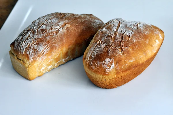 Verse zelfgemaakte brood — Stockfoto