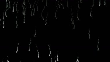Sıvı Damla 4k siyah arka plan üzerinde cam üzerine düşüyor. sorunsuz döngü, alfa