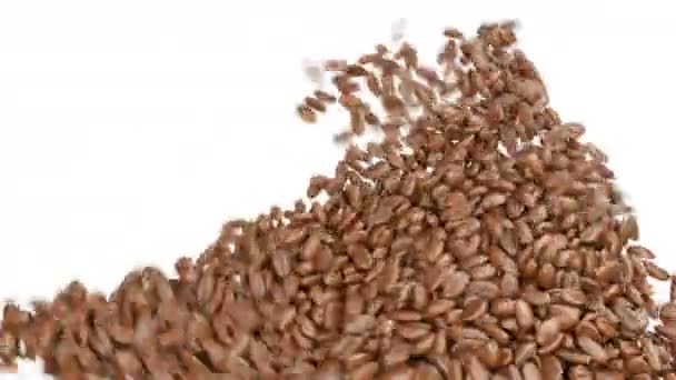 Кавові зерна падають і змішуються — стокове відео