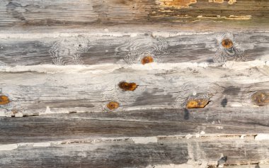 Ahşap kırsal doku ya da arka plan. Eski ahşap duvar ve tahtalar