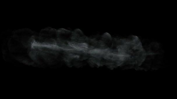 Covid 19コロナウイルスSars Cov 2パンデミックウイルス煙の単語と記号が表示されなくなります 3Dレンダリング 3Dアニメーション アルファマット — ストック動画