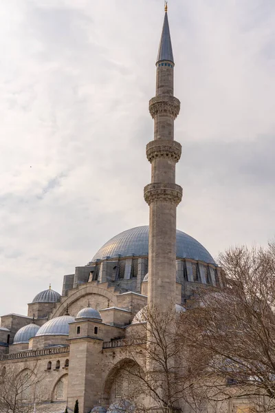 Türkiye 'nin en güzel ve en saygın camilerinden biri olan Süleyman Camii. İstanbul 'da Mart 2021' de yakalandı.