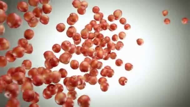 Pommes rouges débit rapide 