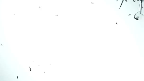 Morceaux de verre brisé 