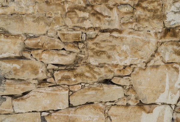 Aged shell rock Stone wall — Stock Photo, Image