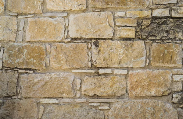 Aged coquina Stone wall texture — Stock Photo, Image