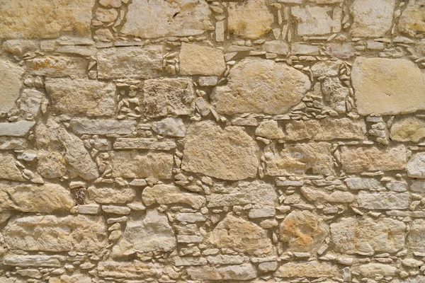 Coquina rustica Parete in pietra — Foto Stock