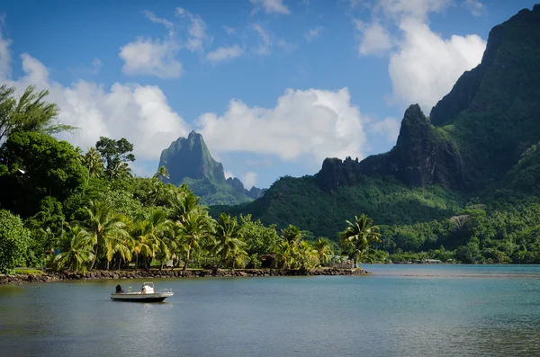 Τοπίο σε πράσινο Moorea — Φωτογραφία Αρχείου