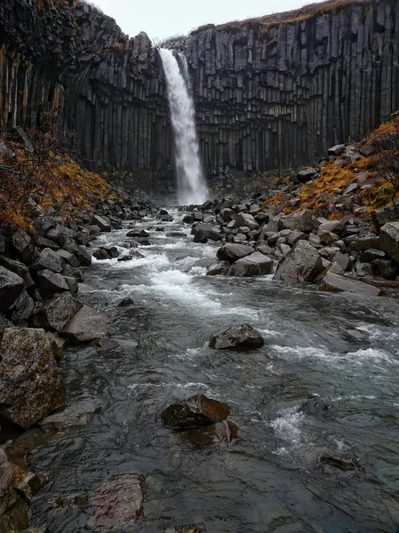 Svartifoss 瀑布冰岛 — 图库照片