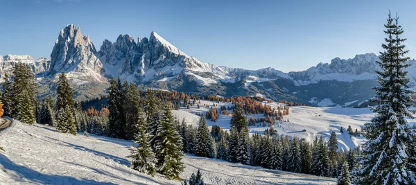 Alm Seiser, Dolomites prado no inverno — Fotografia de Stock